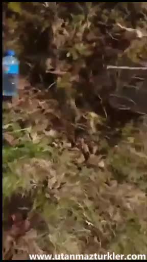 Açık Hava Türbanlı Porno Domaltma Sikis
